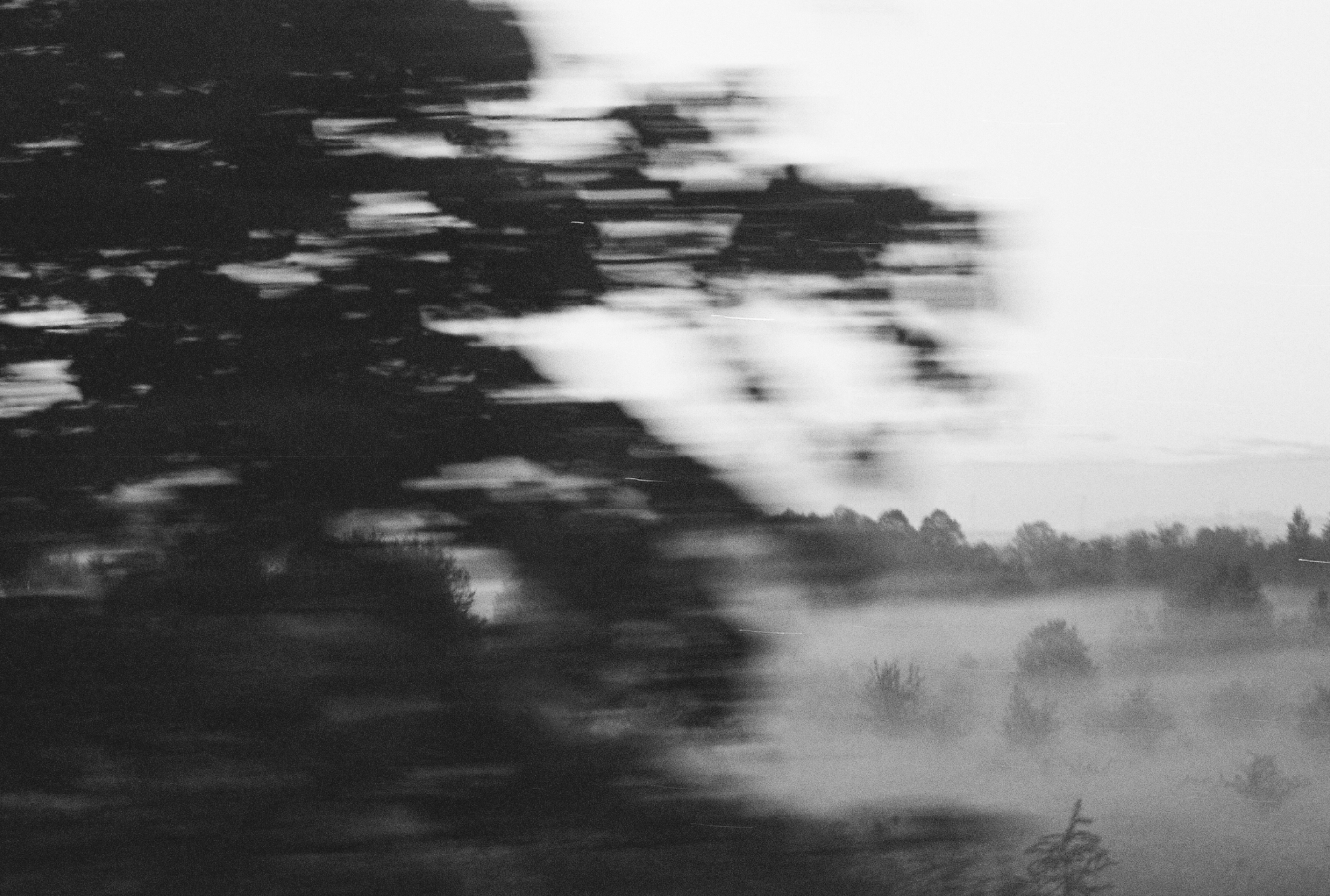 Image description: A black-and-white 35mm photograph captures a moment in motion. The view is blurred and out of focus, with horizontal motion lines streaking across the image. Despite the blur, the shapes of trees, fields, bushes, and sky are still visible, with a layer of fog settled over the landscape